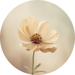 Linda | 24 Tahun | Jakarta